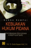 Bunga Rampai Kebijakan Hukum Pidana : Perkembangan Penyusunan Konsep KUHP Baru