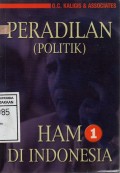 Peradilan (Politik) HAM di Indonesia