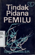 Tindak Pidana Pemilu