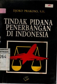 Image of TINDAK PIDANA PENERBANGAN DI INDONESIA