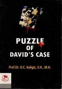 Image of Puzzle of David's Case
